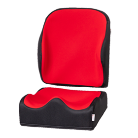 Alpine <em><strong>Curve</em></strong>